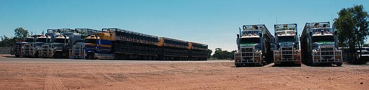 Road train